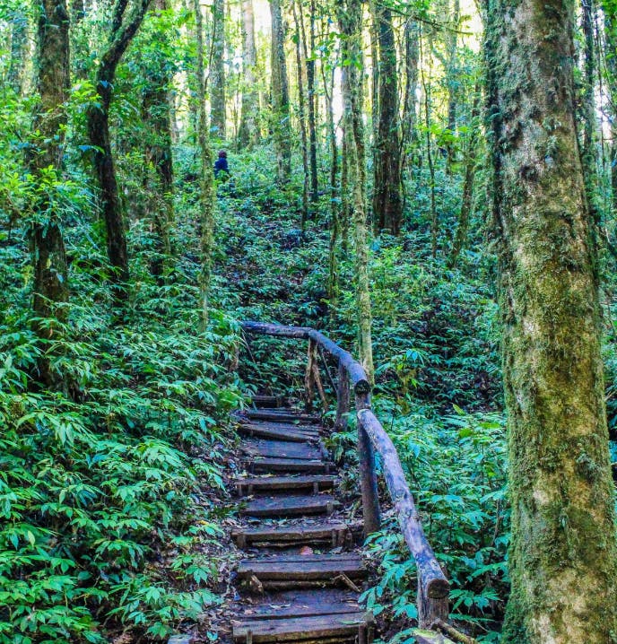 Doi Inthanon National Park